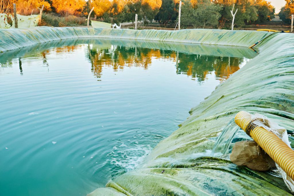 Pond Filtration