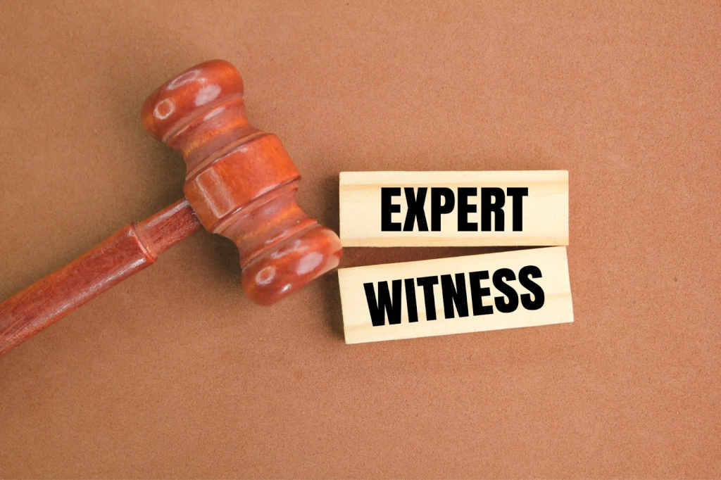 How Expert Witness Services Make Court Proceedings More Effective